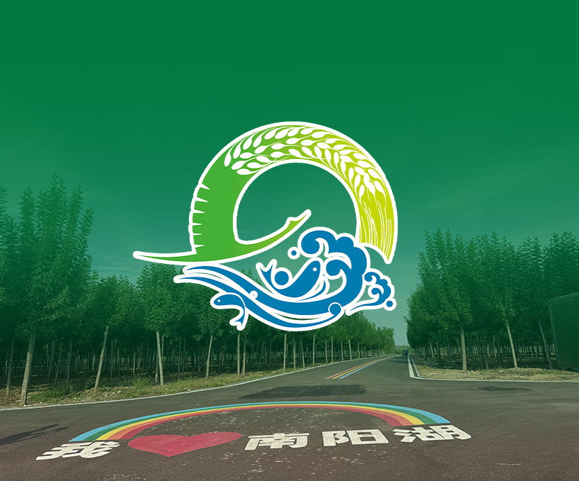 手繪插畫(huà)與多折頁(yè)設(shè)計(jì)